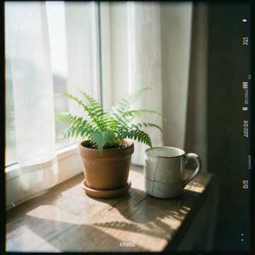 Test v2-web